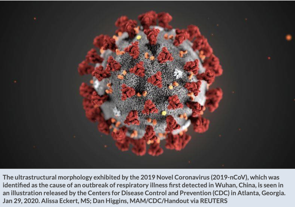 Screen Shot 2020-02-02 at 10.46.27 PM